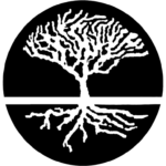 Diane Hughes, LCSW, Ph.D.